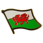 PINS- WALES (FLAG) (1")