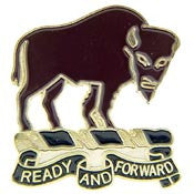 PINS- ARMY, 010TH CAV.RGT. (1")