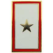 PINS- FAMILY MEM.IN SVC.(1) GOLD STAR HONOR (1")