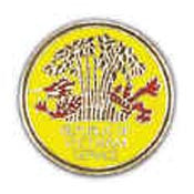 PINS- VIET, REP.OF VIET.SERV (1")