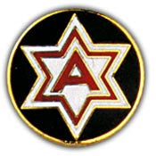 PINS- ARMY, 006TH (1")