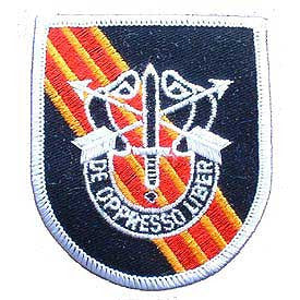 PATCHES: SPECIAL FORCES, DE OPPR (FLASH) (3")